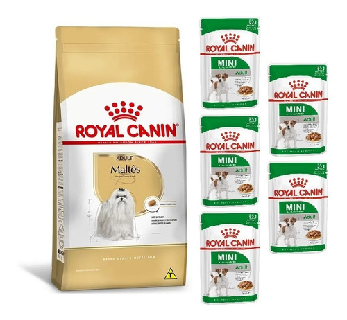 Kit Ração Maltes Adult 1kg E 5 Sachês Mini Royal Canin
