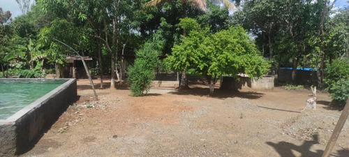 Imagen 1 de 12 de En Venta Parcela En Parapara De Ortiz