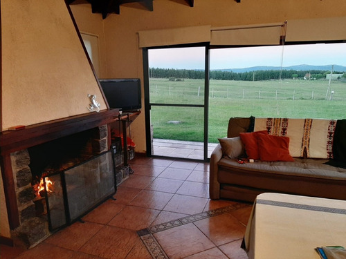 Hermoso Campo De Olivos 43 Hectáreas En Lavalleja