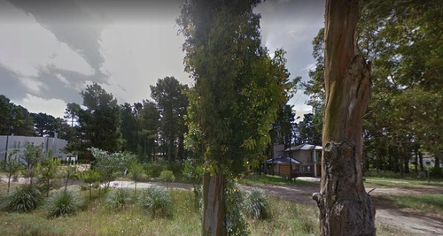 Imagen 2 de 4 de Terreno En Venta Pinamar - 800m2, En El Bosque!