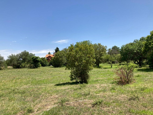 Imagen 5 de 8 de Country Chumamaya Lote1172 M2 Uf 15 B 15
