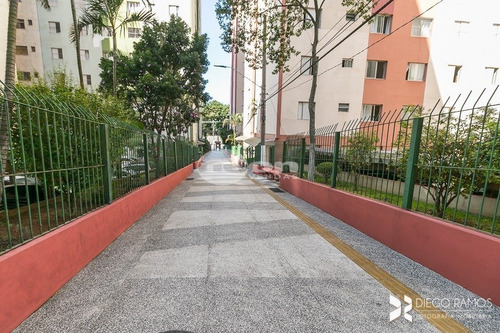 Imagem 14 de 15 de Apartamento - Anchieta - Ref: 1125 - V-1125