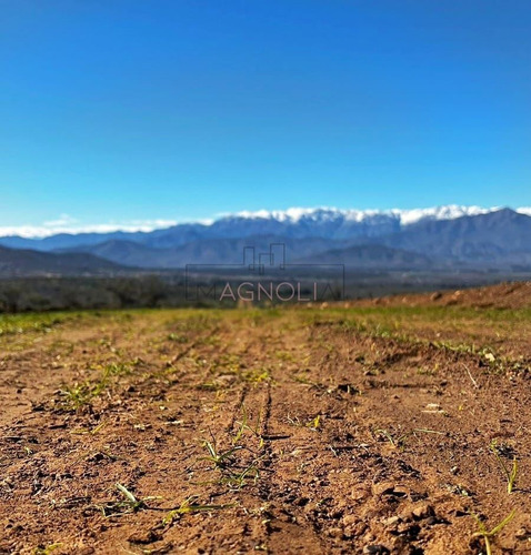 Sitios En Venta En Catapilco, Comuna De Zapallar