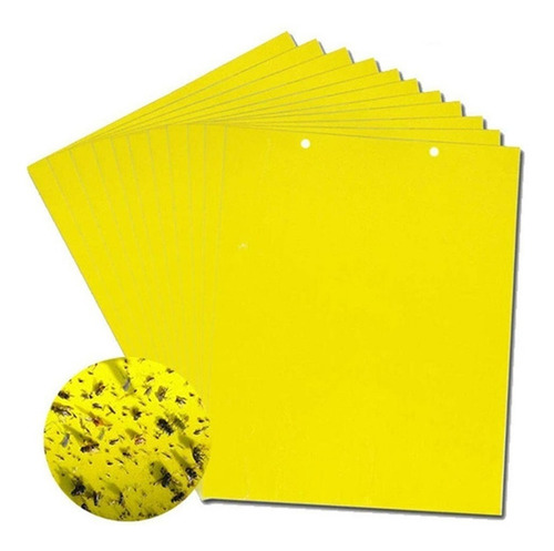 Trampa Insectos Adhesivo X10u