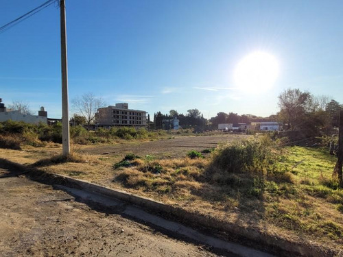 Imagen 5 de 6 de Amplio Terreno Nivelado: 13,95 X 40 - 560 M2 - Sobre Asfalto