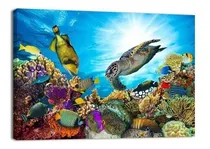 Comprar Cuadro Decorativo Animales Canvas Lienzo Arrecife De Coral