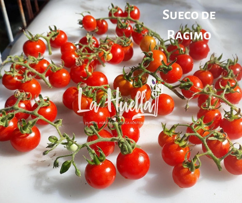 Semillas Agro-ecológicas De Tomates - Reliquias/exóticos