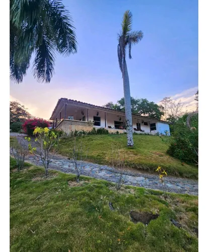 Vendo Finca Támesis 20000 M²