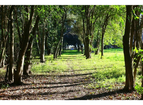 Importante Predio Sobre Ruta 11 Y Fondos Al Río Carcarañá