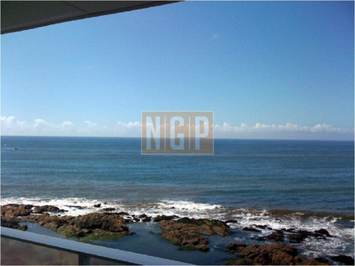 Divino Impecable Con Servicios-ref:4522
