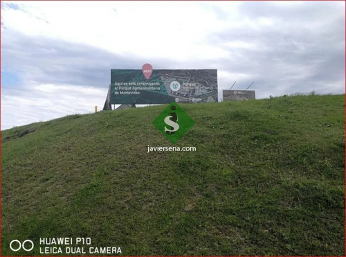Venta De Chacra En Montevideo, 3,5 Hectareas En Melilla- Ref: 167351