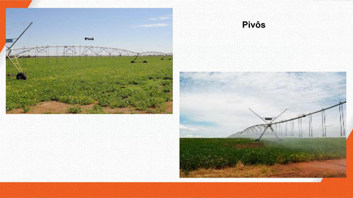 Imagem 21 de 30 de Fazenda 2444 Alqueires, Boa De Água Com Represas E Rio, Fábrica De Ração, 29 Pivôs, Área De Pastagem, Colônia, Casa Sede 600m2, Galpões,pista De Pouso - Fa00102 - 70229637