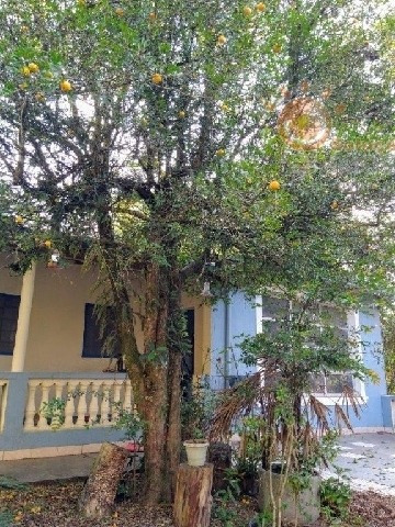 Imagem 8 de 20 de Venda - Chácara Zona Rural / Piedade/sp - 4222