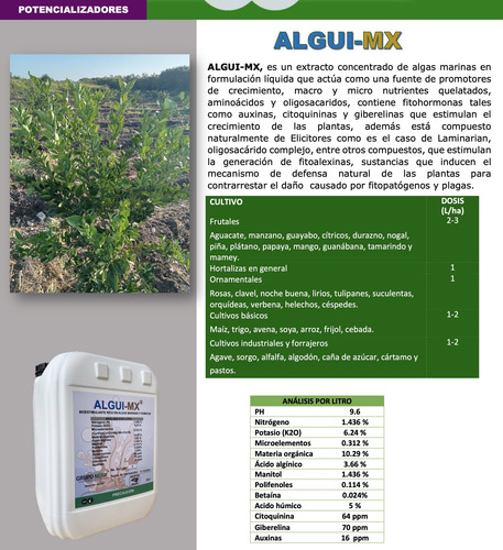 Algui-mx Algas Marinas Ascophyllum Nodosum Grupo Neam 20l