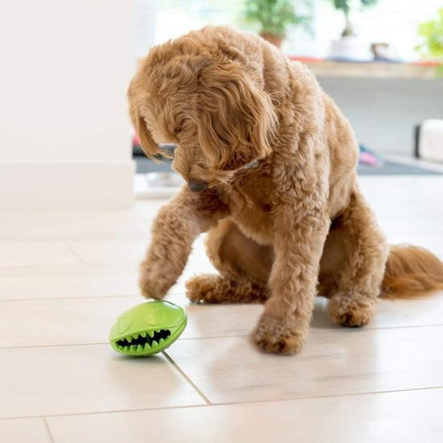 Soporte Ovalado Monster Mouth Para Perros, Pack 4 Resistente