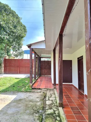 Excelente Finca Productora De Aguacate
