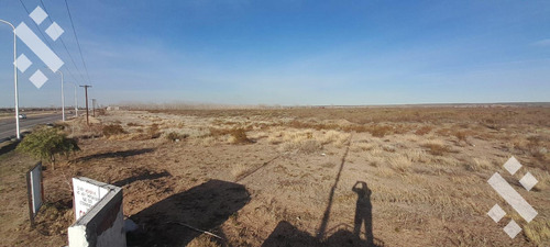 Campo En Senillosa