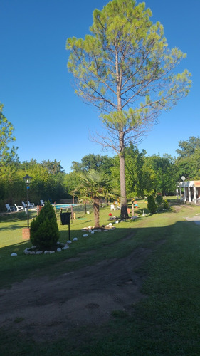 Alquilo Cabañas 2/6 P Con Piscina Aire Acondic Mina Clavero