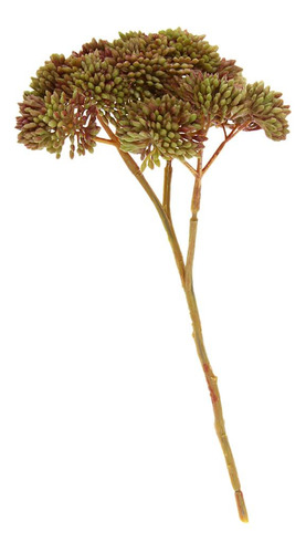 Planta Real Táctil
