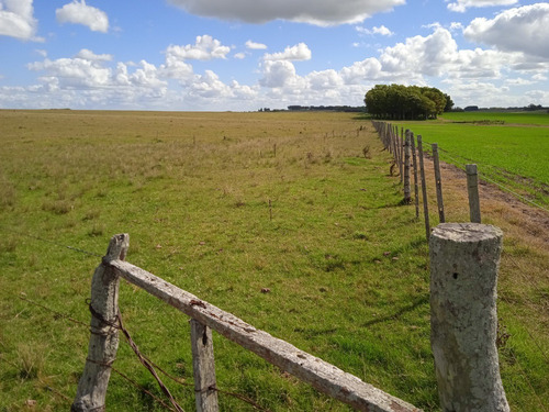 Campo De 140 Hectáreas Con Costa De Arroyo
