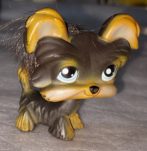 Little Pet Shop Hasbro Modelo 219 Yorkie W/real Head 2004