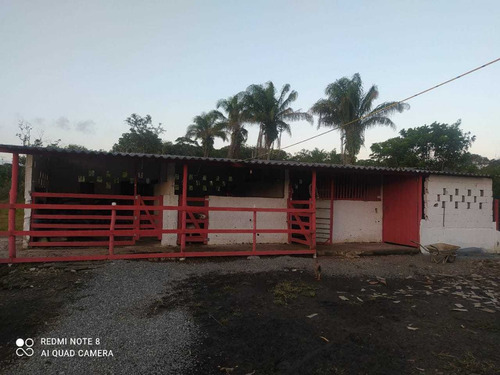 Chácara No Litoral Sul 7,3 Km Da Praia