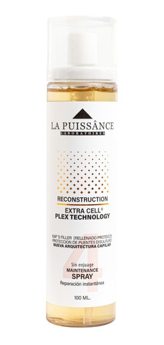 Tratamiento Mantenimiento La Puissance 100ml N°4 Extra Cell