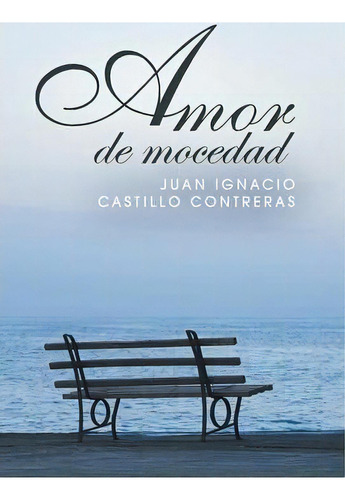 Amor De Mocedad, De Juan Ignacio Castillo Treras. Editorial Palibrio, Tapa Dura En Español