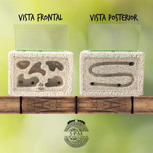 Hormiguero Vertical Ytong Celular Retak Mediano 12x8 Cm Ct