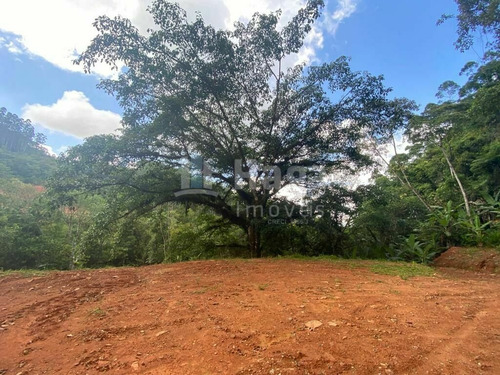 Imagem 7 de 17 de Chácara À Venda No Bairro Moura - Canelinha/sc - 2171c