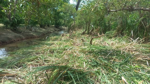 Imagen 11 de 13 de Terreno En El Delta Dos Hectáreas