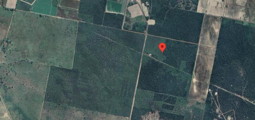 Campo De 65 Hectáreas C/escritura, El Empachao. Dpto. Sarmiento. Sgo. Del Estero