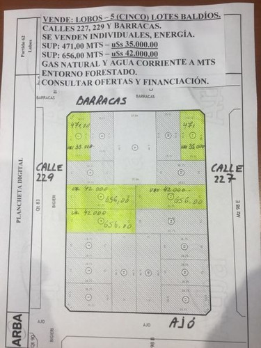 Imagen 1 de 1 de Terreno En Venta En Lobos