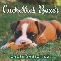 Comprar Libro: Cachorros Boxer Calendario 2022: Calendario 12 Meses