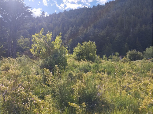 (027) Lago Puelo (radal - Ingreso Alt Currumahuida) Lotes De 1000mtrs2