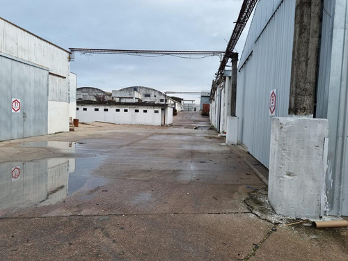 Imagen 14 de 15 de Depósito -centro Logístico, Ruta 67 Próximo Ruta 5,las Piedras, 200 M2 , Altura 6 Mts, Nuevo , Vig 24 Hs !!