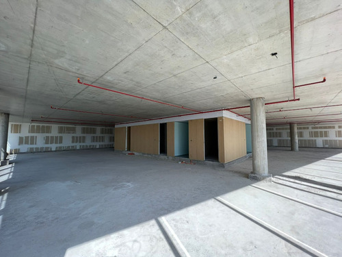 Alquiler Oficinas Premium Leed Platinum Ciudad Vieja Alma Et