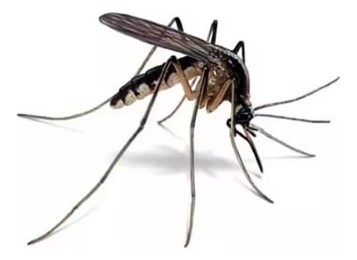 Ahuyenta Mosquitos Portatil A Pila Kit 10 Unidades Reventa
