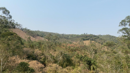 Imagem 10 de 14 de B1 Terreno Com Visão Ampla Para A Natureza Arvores Frutífera