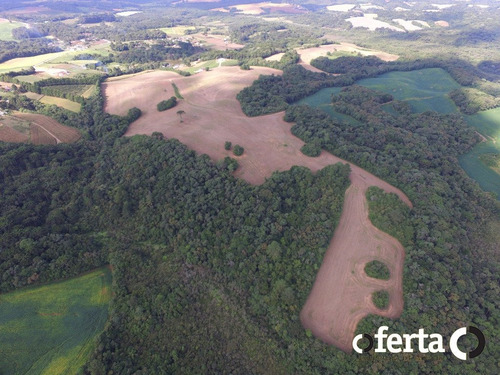 Imagem 2 de 15 de Chacara - Capinzal - Ref: 578 - V-578