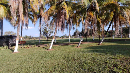 Imagen 9 de 20 de Finca En Venta En Sabana Del Medio Barrera Cód 172302 Acv