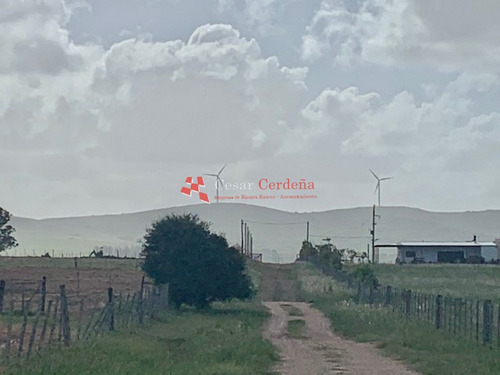 Venta - 5 Has En Sierra De Los Caracoles- Ref: 1568