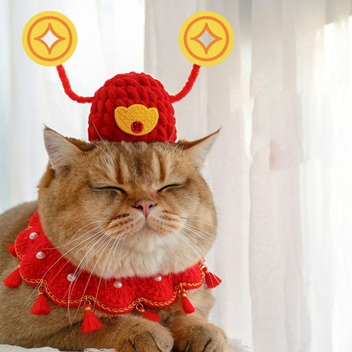 Disfraz De Mascota Sombrero Tocado Vestir Accesorios Ropa