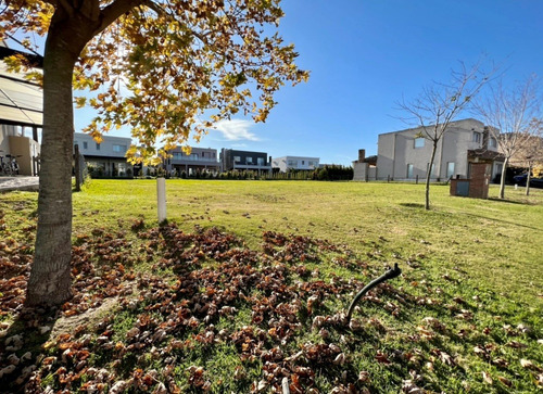 Imagen 2 de 13 de Terreno Lote En Venta Ubicado En Tipas, Nordelta, Tigre