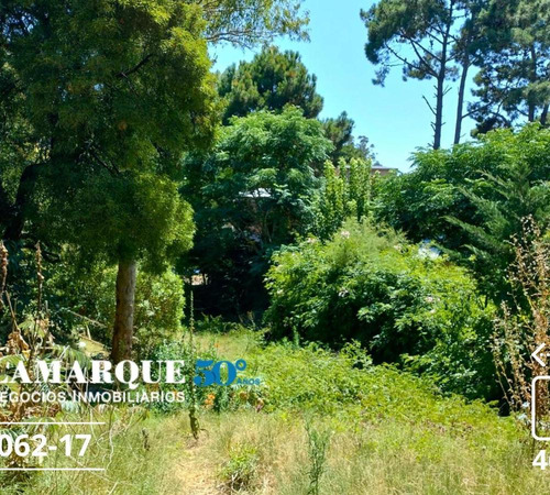 Lote Ostende, Calle Dante. A 2 Cuadras Av Victor Hugo