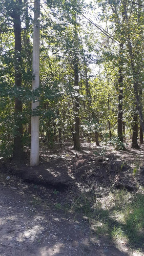 Venta Terreno En Barrio La Catalina En Roldan