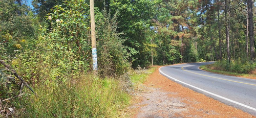 Gran Oportunidad! Terreno De 40 Hectáreas Sobre Carretera A Los Saucos