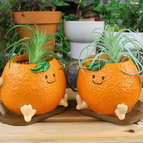 Swing Swing Swing Pot De La Cara Sonriente Planta Swinging