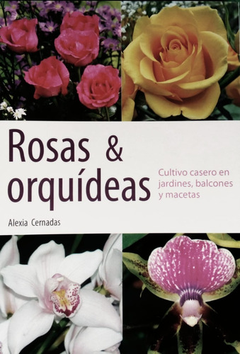 Rosas & Orquideas-alexia Cernadas-andromeda
