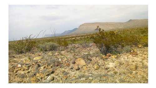 Imagen 6 de 11 de Venta De Terreno Plano En Ramos Arizpe